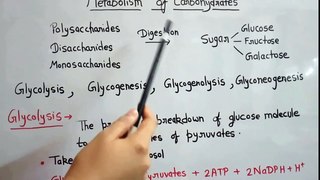 Metabolism of carbohydrate part 1