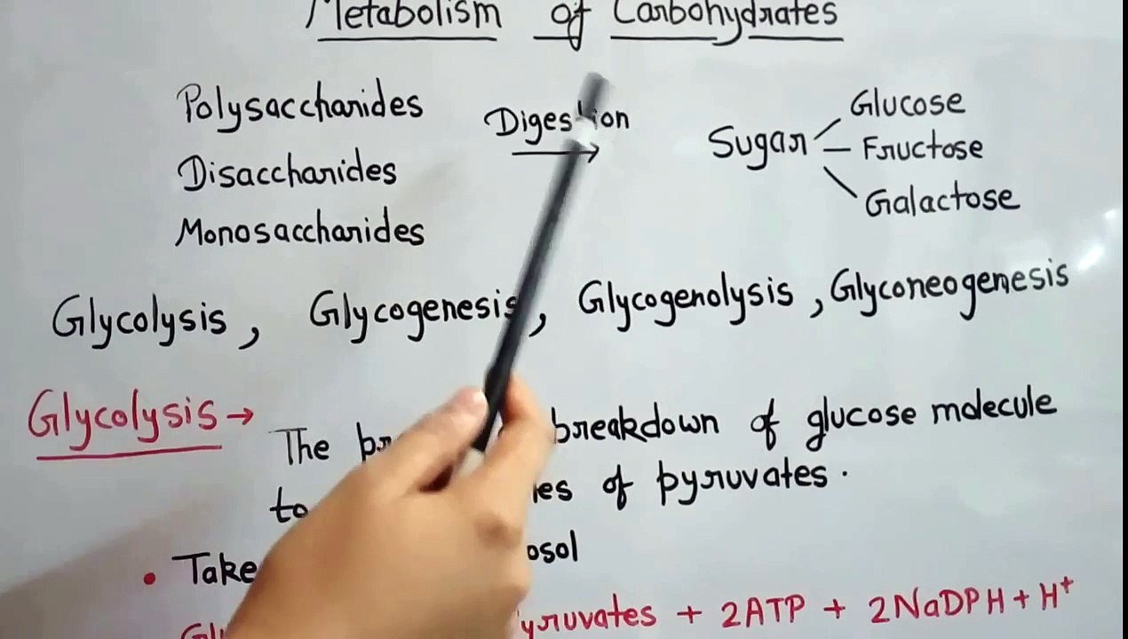 Metabolism of carbohydrate part 1