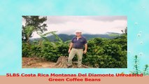 5LBS Costa Rica Montanas Del Diamonte Unroasted Green Coffee Beans dfc49e0e