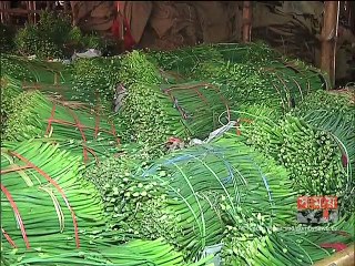 দক্ষিণ-পশ্চিমের ২১ জেলার পণ্যবাহী পরিবহন ধর্মঘট প্রত্যাহার