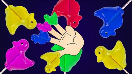 Barnyard Duck ♥ Finger Family Candy Lollipops Daddy Finger Song