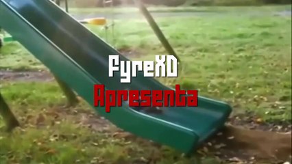 Compilação de gifs de animais