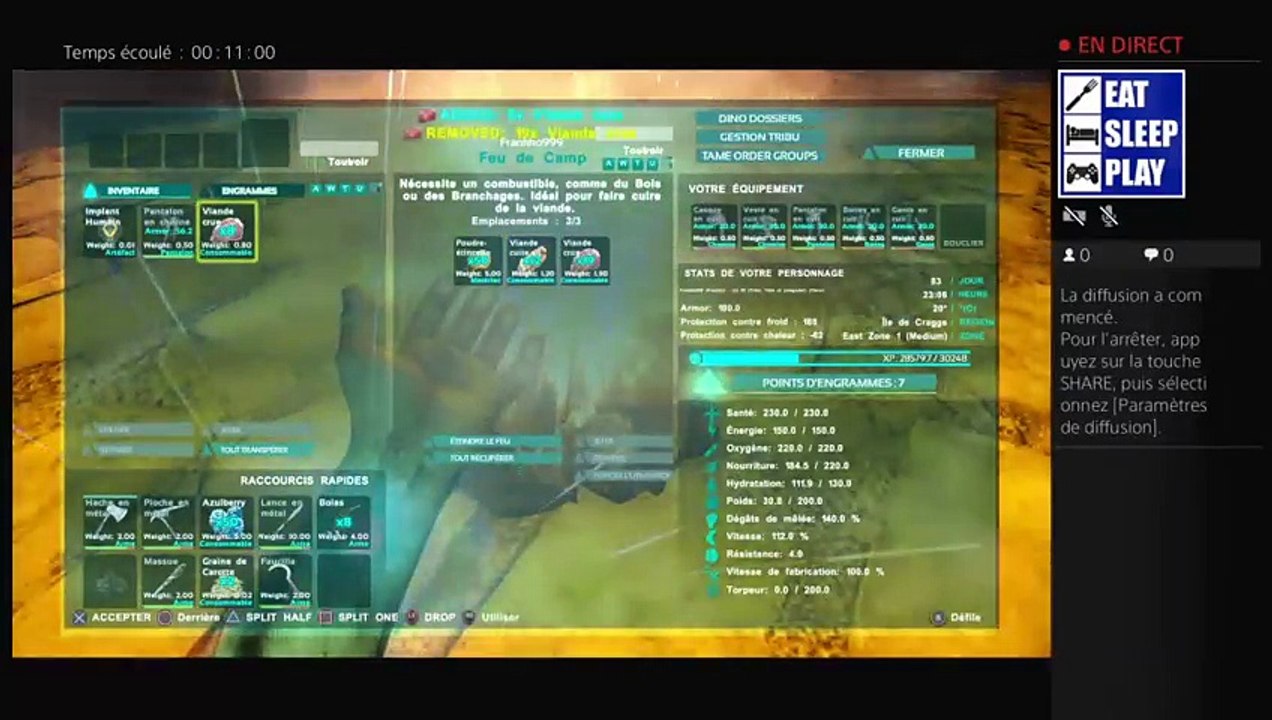 Diffusion PS4 en direct de Frankko999 (5)