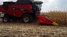 VERSATILE TORUM 760 в уборке кукурузы