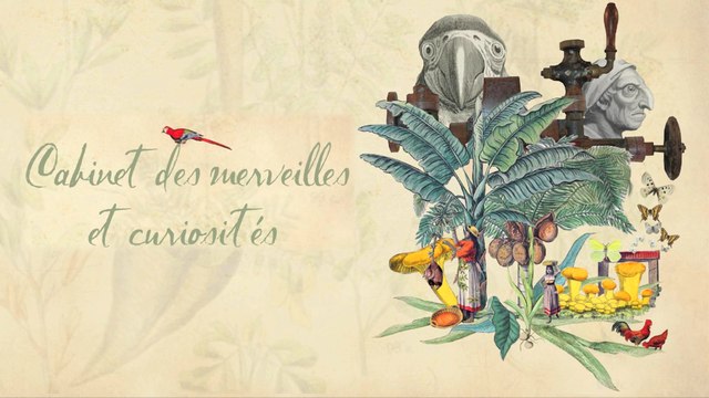 Inauguration du cabinet des merveilles et curiosités au ministère de l'Environnement, de l'Energie et de la Mer