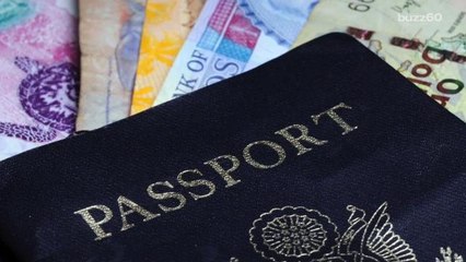 Vacation Around the World For Free Just By Walking the Dog