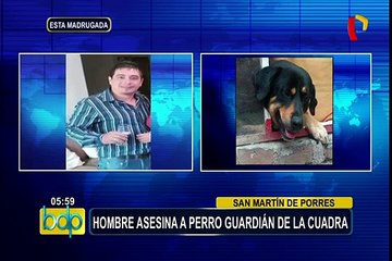 SMP: denuncian que hombre asesinó a puñaladas a perro guardián