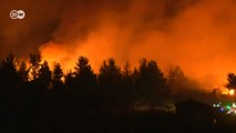 Chile combate um dos maiores incêndios florestais de sua história