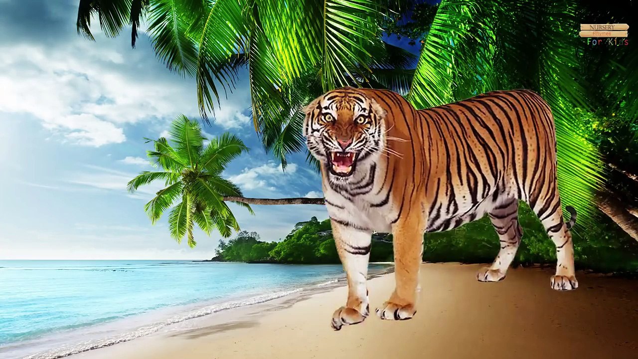 Animals names to Learn For Kids | Gorilla lion...
