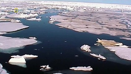 Полярный медведь / Planet Carnivore: Ice Bear (2007)