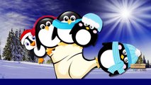 Penguin Finger Family Nursery Rhymes | Penguin Cartoon Finger Family Rhymes For Children