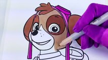 Paw Patrol Skye Coloring Page! Fun Coloring Activity for Kids Toddlers Children