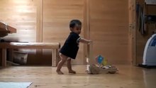 Incroyable, le chat apprend au petit à gambader !