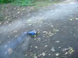 Kyosho inferno en foret