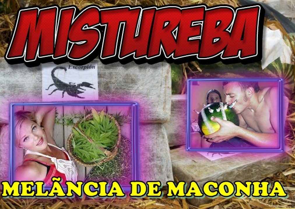 MELANCIA DE MACONHA