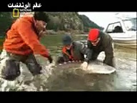 وثائقي : تحدي صيد السمك من سيكون ملك الصيادين national geographic abu dhabi 2017