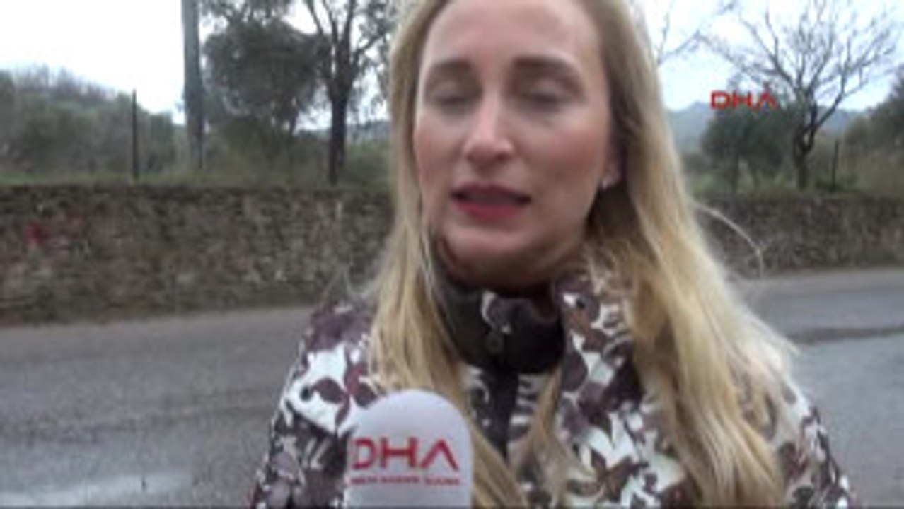 Bodrum Ağaca Zincirlenen Köpek, Açlıktan Ölmek Üzereyken Bulundu