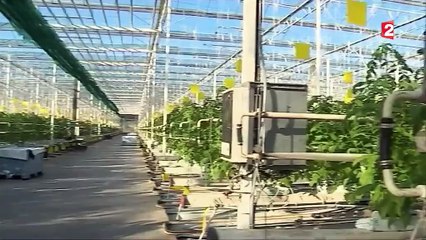 Emploi : quand la mobilité pose problème pour trouver un travail