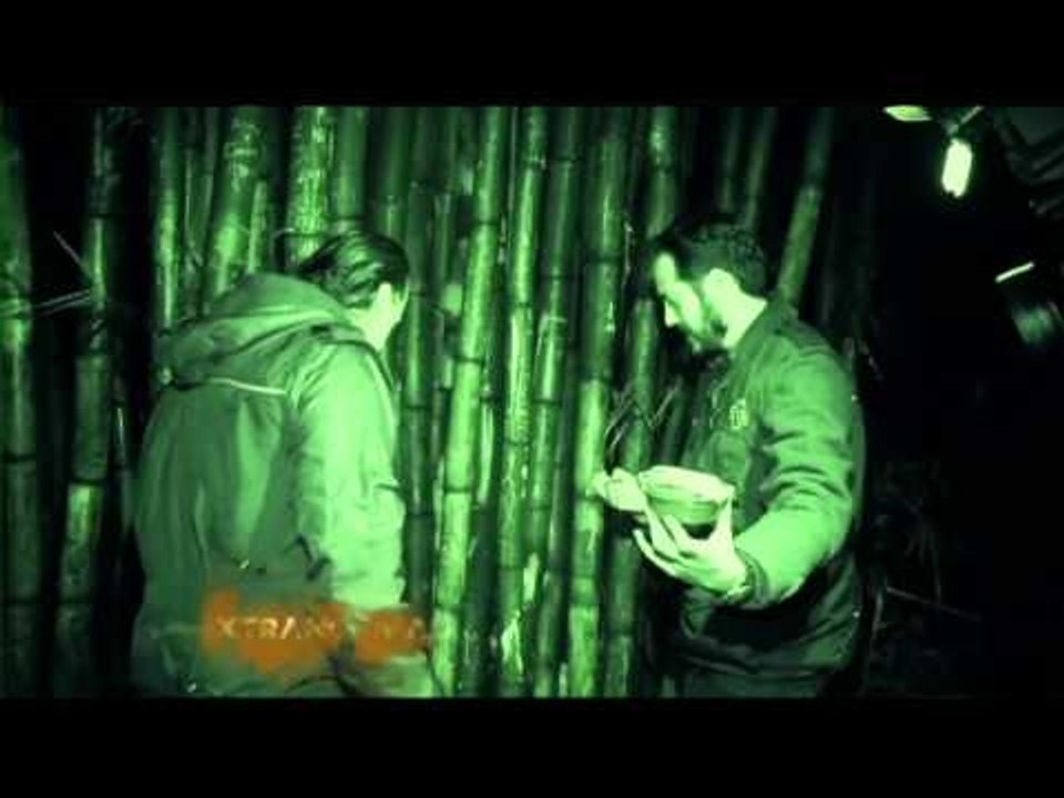 Brujería en el bosque de los Colomos