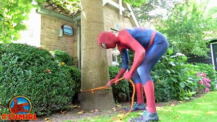 Frozen Elsas POOL SURPRISE! w/ Spiderman Pranks Frozen Elsa Swimming Pool! Funny Superhero Video 4K