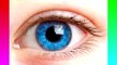 10 Facts You Dont Know About Eyes - QuickTops