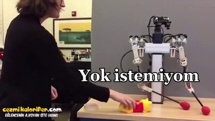 Yapay Zeka Türk Versiyonu