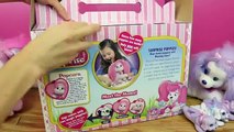 Puppy Surprise DisneyCarToys New new Christmas Toys BIG Video amp Kitty Surprise Stuffed