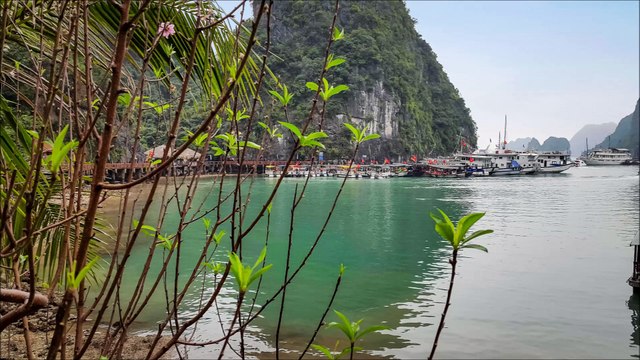 Voyage Vietnam 2015 Baie d'Halong.