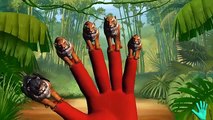 Tiger Animals Cartoons Finger Family Collection | 3D Tiger Animated Finger Family Rhymes Children