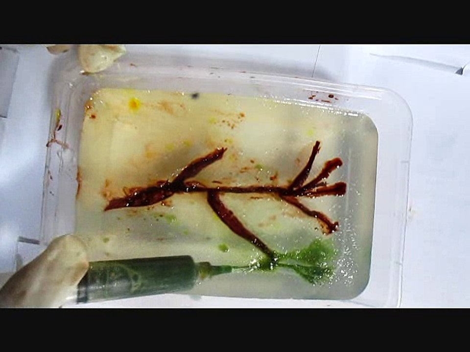 Cara membuat ranting menggunakan full suntikan di Jelly Art....