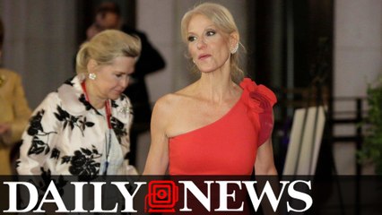 Trump Adviser Kellyanne Conway Allegedly Punched A Man At Inauguration Ball