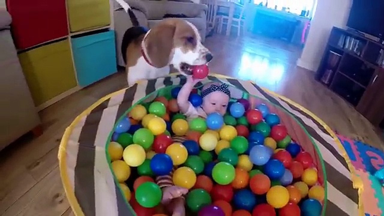 Incroyable, regardez comment ce chien se comporte avec ce bébé !