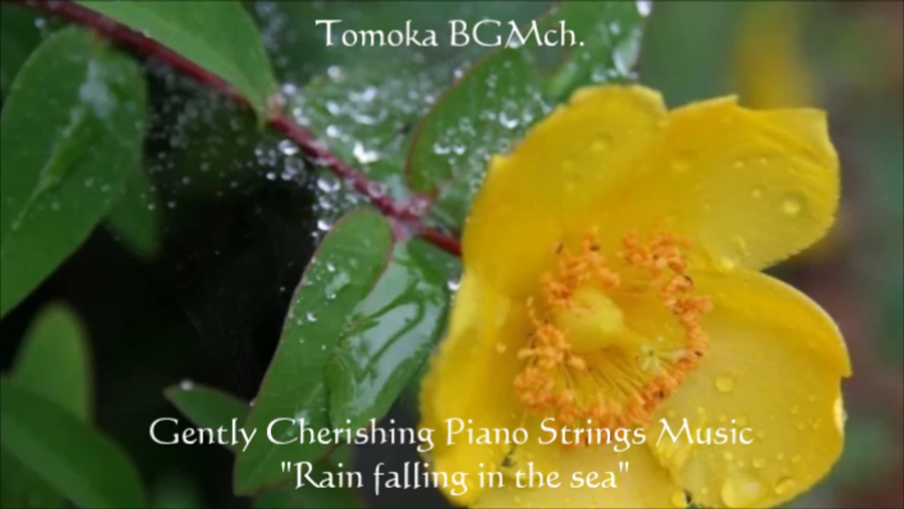 【Healing Cafe】　優しく慈しむピアノストリングス曲 #41  「海に降る雨」 Gently Cherishing Piano Strings Music "Rain falling in the sea"