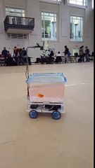 Ce poisson qui pilote son aquarium motorisé !
