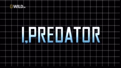 Суперхищники Касатка / I predator