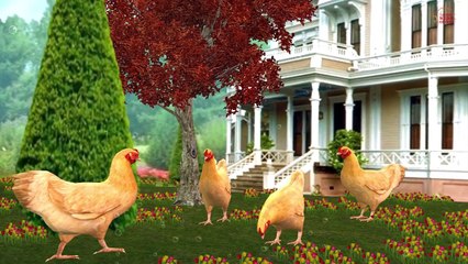 Animals Rhymes For Children Nursery Rhymes || Dog,Cat,Pig And Duck Animals 3D Rhymes