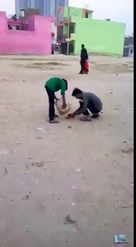 Köpeğin Başina Gelene Güler misin Ağlar mısın