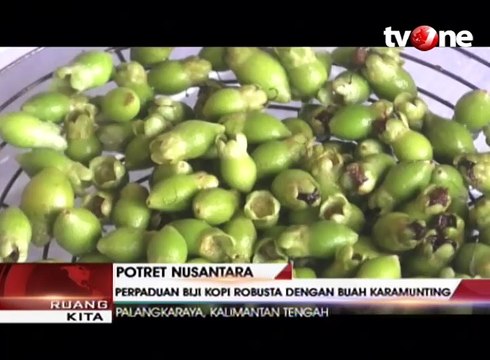 Kopi Herbal Perpaduan Buah Karamunting dan Biji Kopi Robusta