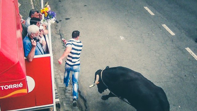 TOUROS PERIGOSOS - Tourada da Boa Hora