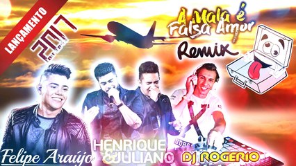 A mala é falsa amor remix