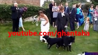 new wedding fails compilation 2017 funny indian marriage fail video whatsapp funny video