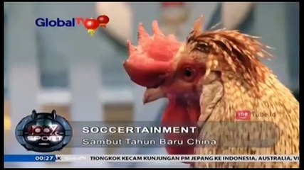 Pemain Manchester City Asyik Adu Balap Ayam