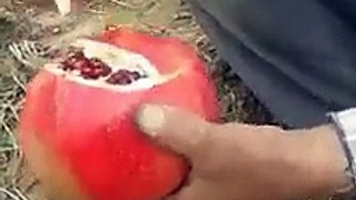 Best Way To Cut Pomegranate