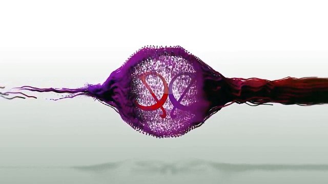 Yeh Rishta Kya Kehlata Hai Naira Runs From Her Sangeet 24th January 2017