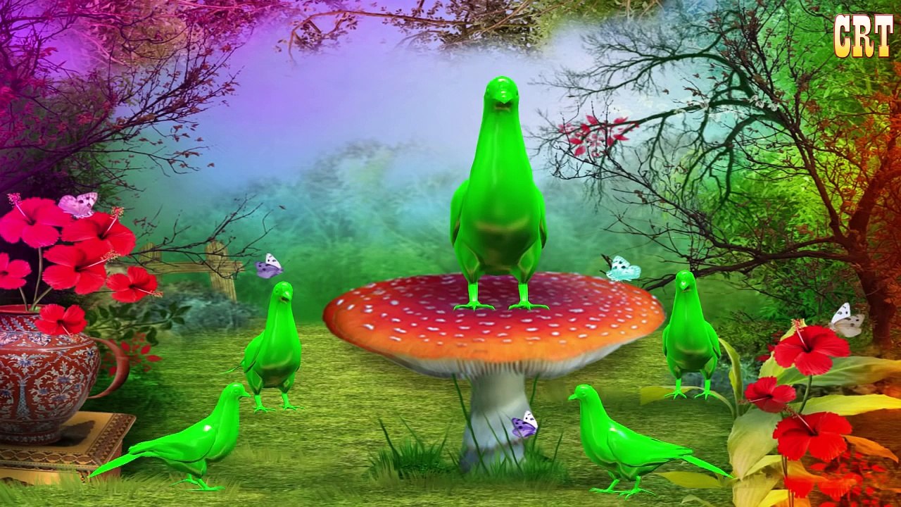 Frog Colourfull Colour Song Learning Nursery Rhymes Collection For Children Rhymes