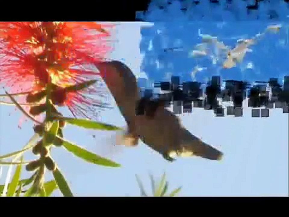 Reflexão
