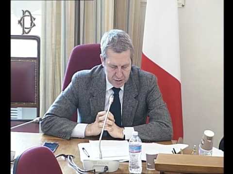 Roma - Audizione sottosegretario Della Vedova (24.01.17)