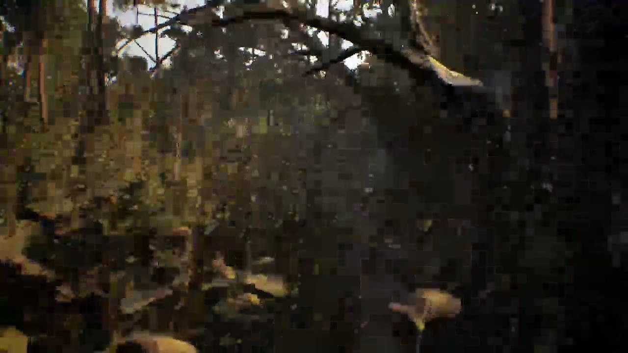 Lucylover Plays (6)