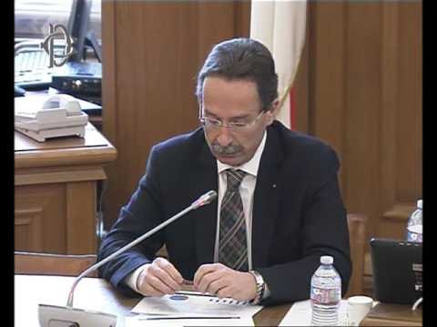 Roma - Politica commerciale nell’Ue, audizione Federacciai e sindacati (24.01.17)