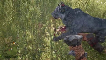 Panthera Leo Atrox, the "American Lion" - an ICE AGE SUPER PREDATOR